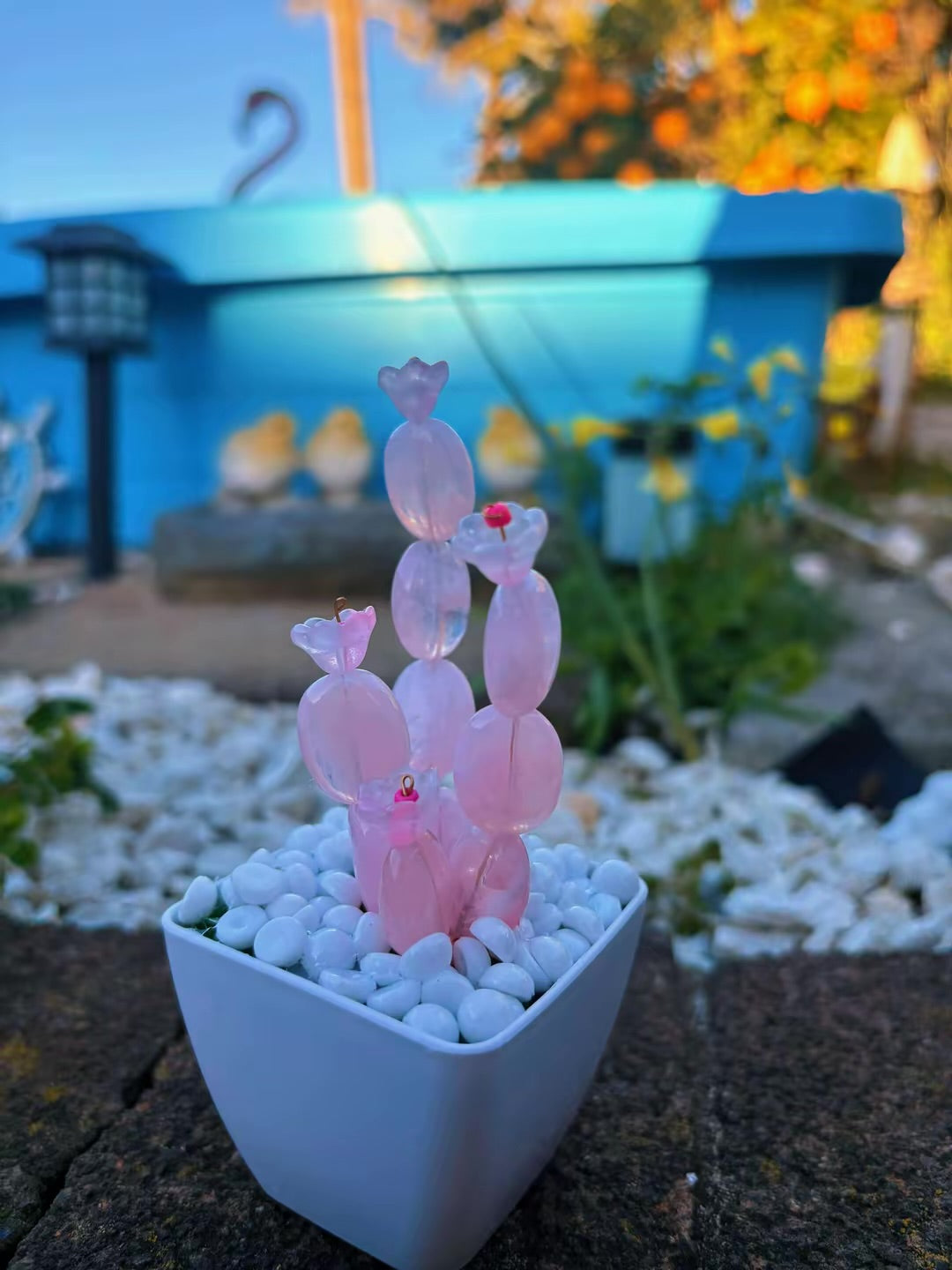 Assorted Mini Potted Flowers