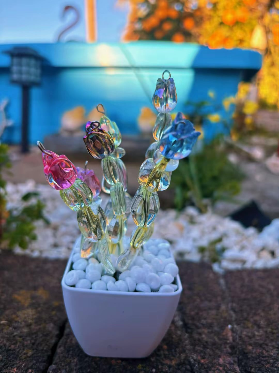 Assorted Mini Potted Flowers