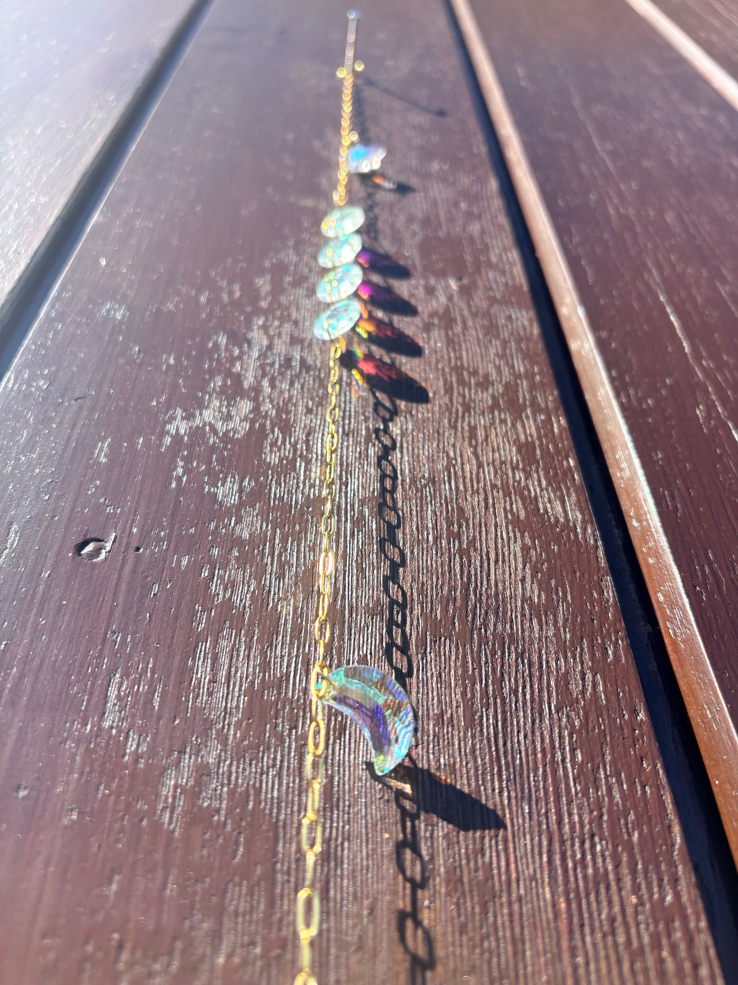 Colourful Clam Sun Catcher