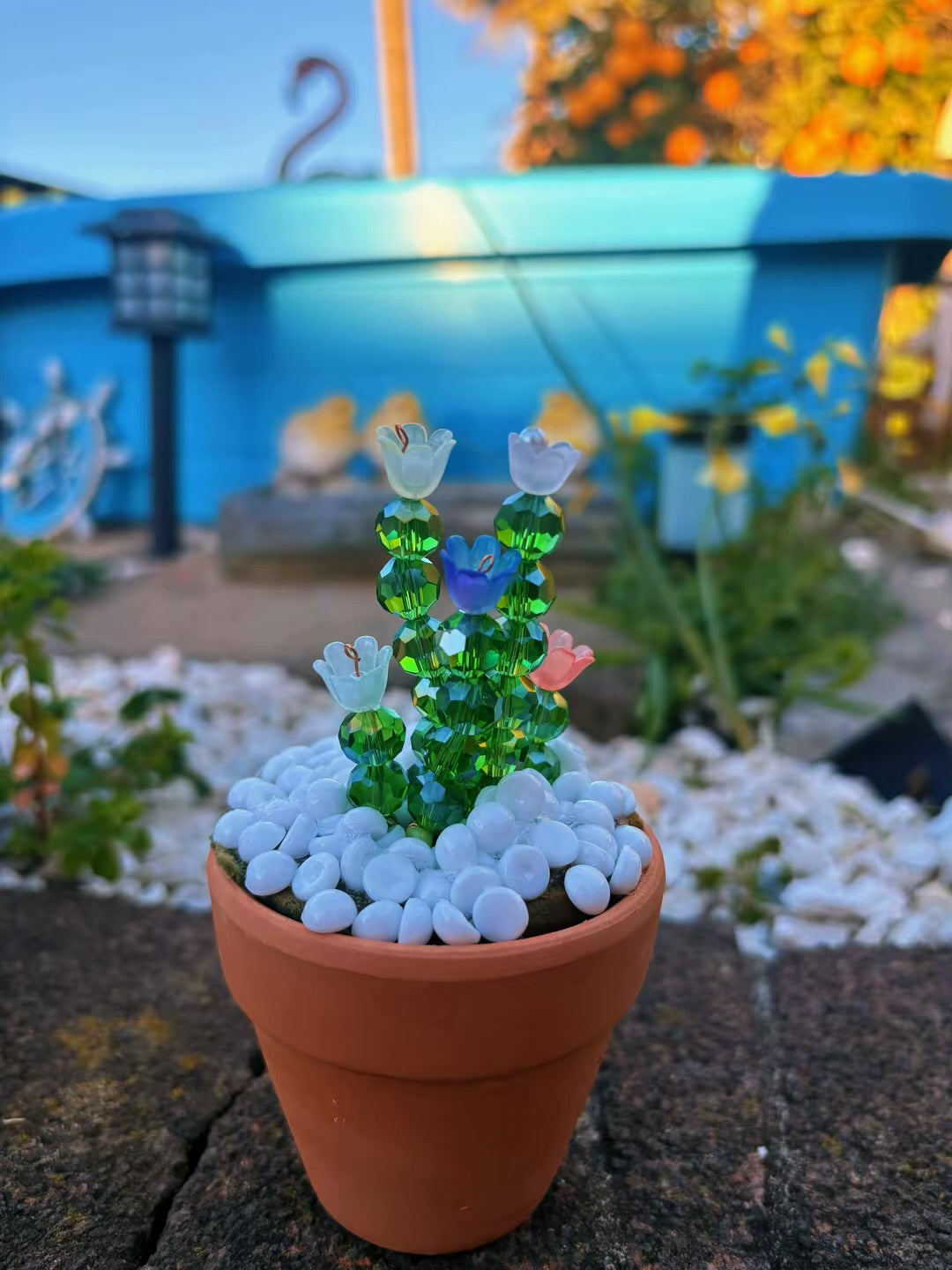 Assorted Mini Potted Flowers