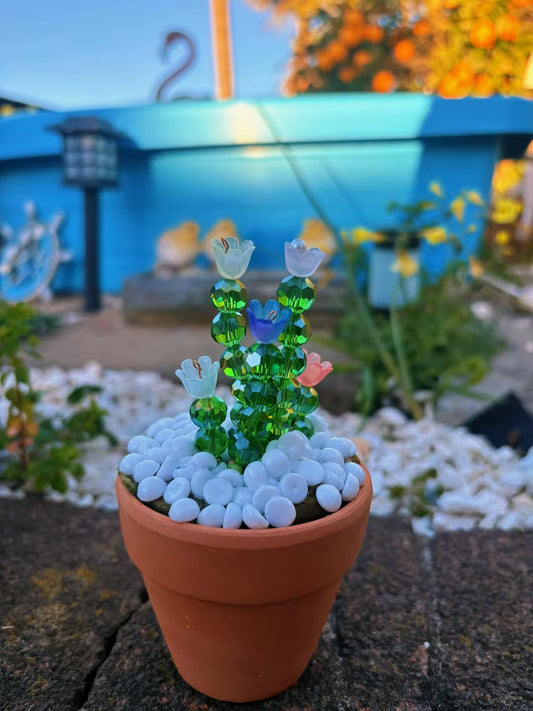 Assorted Mini Potted Flowers